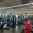 메이저 짐 이미지