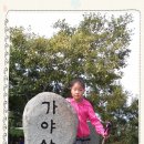 가야산 시민쉼터 이미지