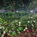 벌막공원 이미지