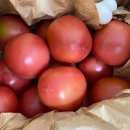 은골농장 이미지