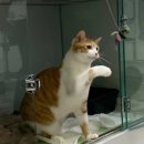 안산 센트럴 동물병원 이미지