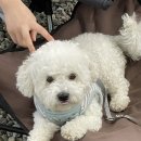 보물나라 - 창원시 마산합포구 완월남1길 16 | 보물나라