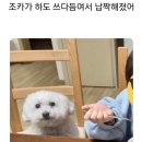 케이포유 이미지