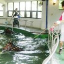 수영통상 이미지