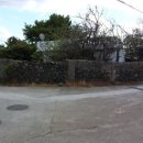 금성리 농로 1 이미지