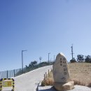 오륙도 스카이워크 | 🏖️ 부산 감성 뷰 명소 추천! 오륙도 스카이워크 방문 후기 (가는 길, 주차, 꿀팁 총정리)