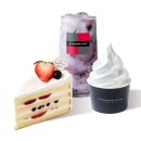 건강다짐