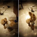 테리몽하우스 이미지