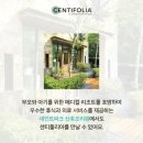 세인트메디칼서비스 이미지