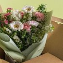 플라워펫 이미지