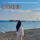 북동054 | 경주 가볼만한 곳 문무대왕릉 및 오션뷰 무인카페 솔직후기