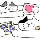 김선자 농장 이미지