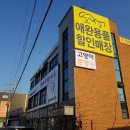 캣파라다이스 이미지