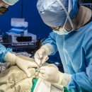 24시 아프리카동물병원 이미지