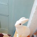 아빈스 - 서귀포시 태위로977번길 22 | 아빈스