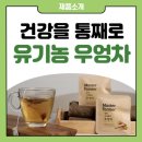 영농조합법인 조수리농부의 아침 | [우엉차 추천] 달성군 마스터파머 ‘농부 이영희의 우엉차’ 직접 마셔본 솔직 장단점 후기 (선물용 강추)