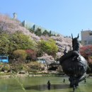 중앙대학교 건강간호대학원 이미지