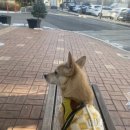푸루무스튜디오 이미지
