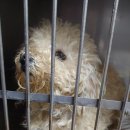 선바위역 6번 출구 이미지