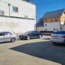 한국카독크 이미지