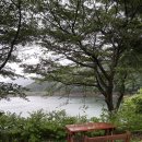 저수지 | 괴산 원풍저수지 산책 후기 | 비오는날 더 아름다운 한적한 저수지(주차, 소요시간)