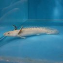 티·오PC 이미지