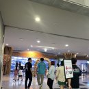 제주 아쿠아 플라넷 펀 다이빙 후기