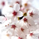 부천로264번길 이미지