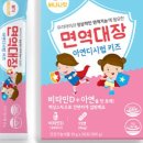 액상대장