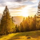 광진 행정사 이미지