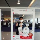 석모점 현대자동차 | 아시아나항공 A380 한반도일주 탑승후기