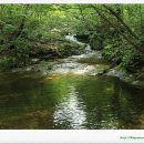 연석산&숲 이미지