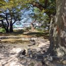 남산가는길(야경)코스 이미지