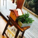 고봉김밥(진월점) 이미지