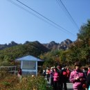 지수초등학교 이미지