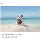 서귀포칼호텔로비라운지 | 제주 신라호텔 | 산책로 쉬리의 언덕 • 로비 라운지 바당 • 베이커리 패스트리 부티크