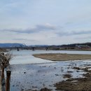 정근모 | 한국과 진화생물학, 진화생물학 변혁사 연재를 예고하며