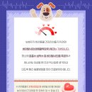 바른동물메디컬센터 이미지