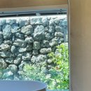 스테이결 이미지