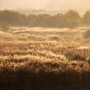비내길 1구간 이미지