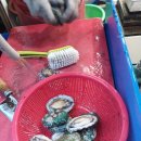 상아별장 이미지