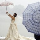 선우기업 이미지