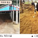 축사 이미지