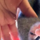 나래영재어린이집 이미지