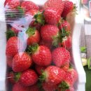 운모농장 이미지