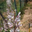 백선농장 이미지