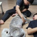 나랑놀자