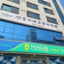 천안배원예농업협동조합(입장) | 천안고양이카페 야옹이네 천안직영점 아이 동반·데이트 코스