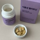 가렌 | 나의 이갈이 해결템!(이가렌 효능 가격)