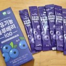 순임축산 | 눈 건강 유기농간식 추천 유기농블루베리 추천 <메디트리 순 유기농 블루베리 스틱 100>후기!